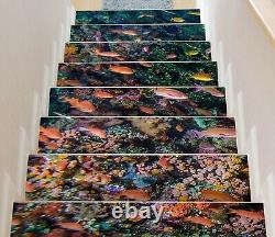 3D Cute Fun Fish U850 Stair Risers Decoration Photo Mural Decal Wallpaper Romy