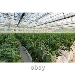 VBS 4 Year UV Resistant 8 mil Heavy Duty Clear Greenhouse Covering